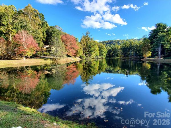 111 W Kindy Forest Drive, Hendersonville, NC 28739
