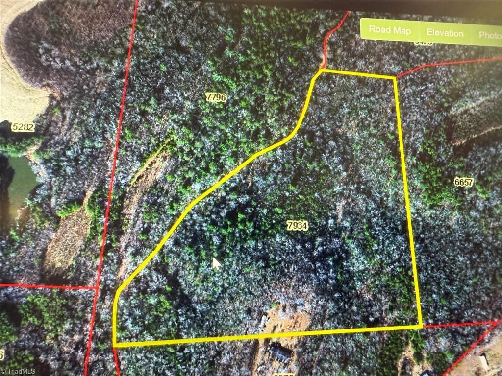 00 Masters Trail, Ararat, NC 27030 Main Photo