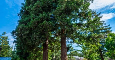 7070 Robin Hood Way, Granite Bay, CA 95746 Photo