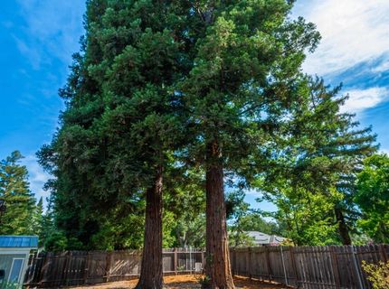 7070 Robin Hood Way, Granite Bay, CA 95746 Photo