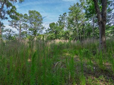 8326 Shell House Road, Edisto Island, SC 29438