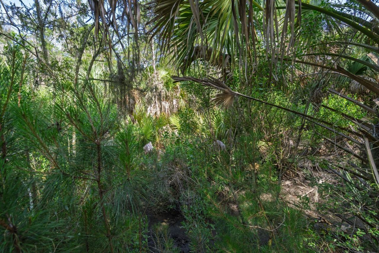 8326 Shell House Road Photo 10