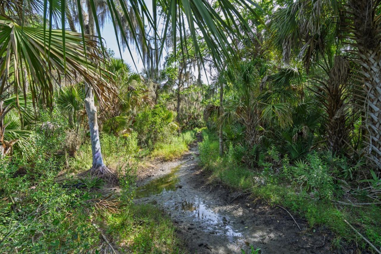 8326 Shell House Road Photo 11