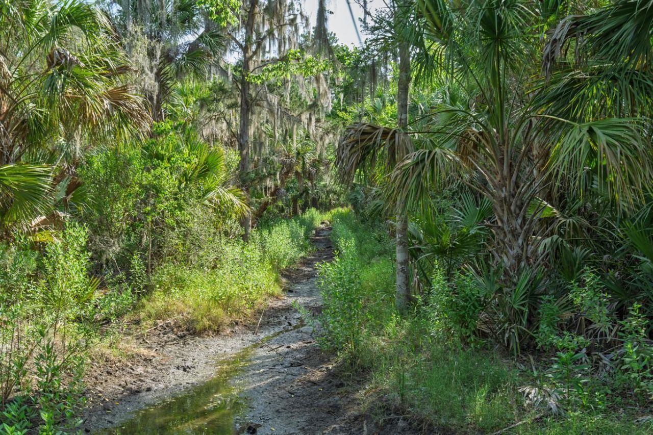 8326 Shell House Road Photo 12