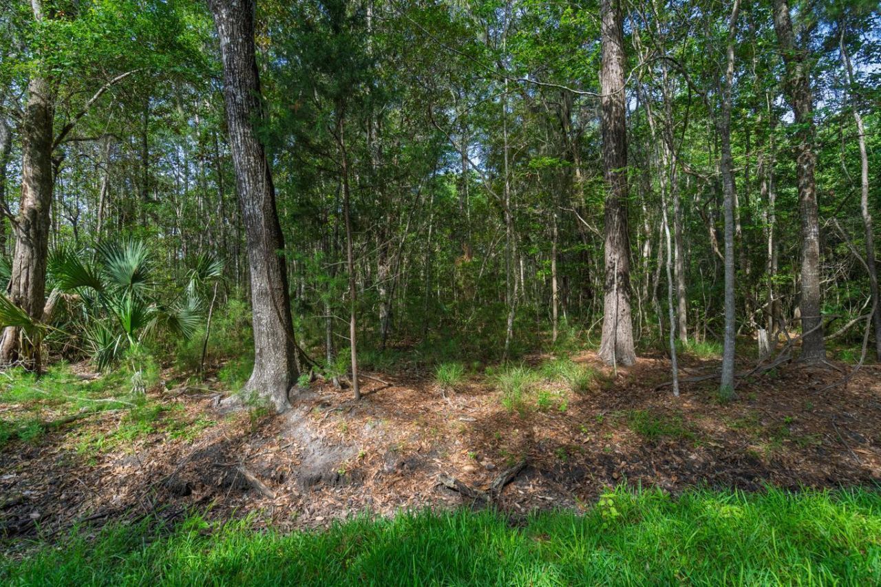 8326 Shell House Road Photo 19