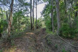 8326 Shell House Road photo 4