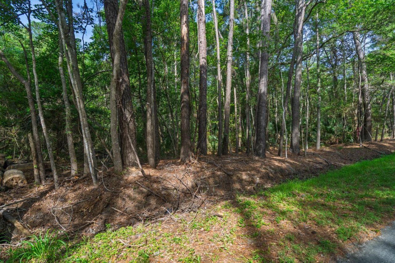8326 Shell House Road Photo 20