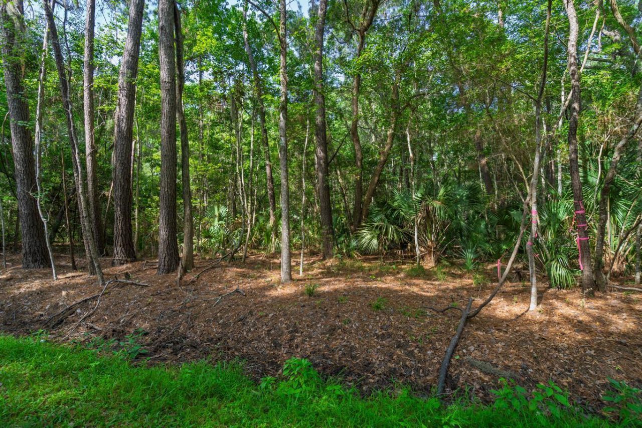 8326 Shell House Road Photo 21