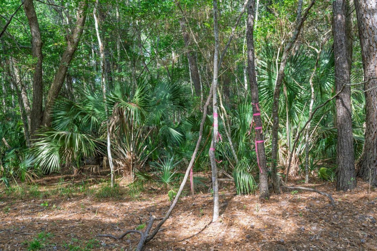 8326 Shell House Road Photo 24