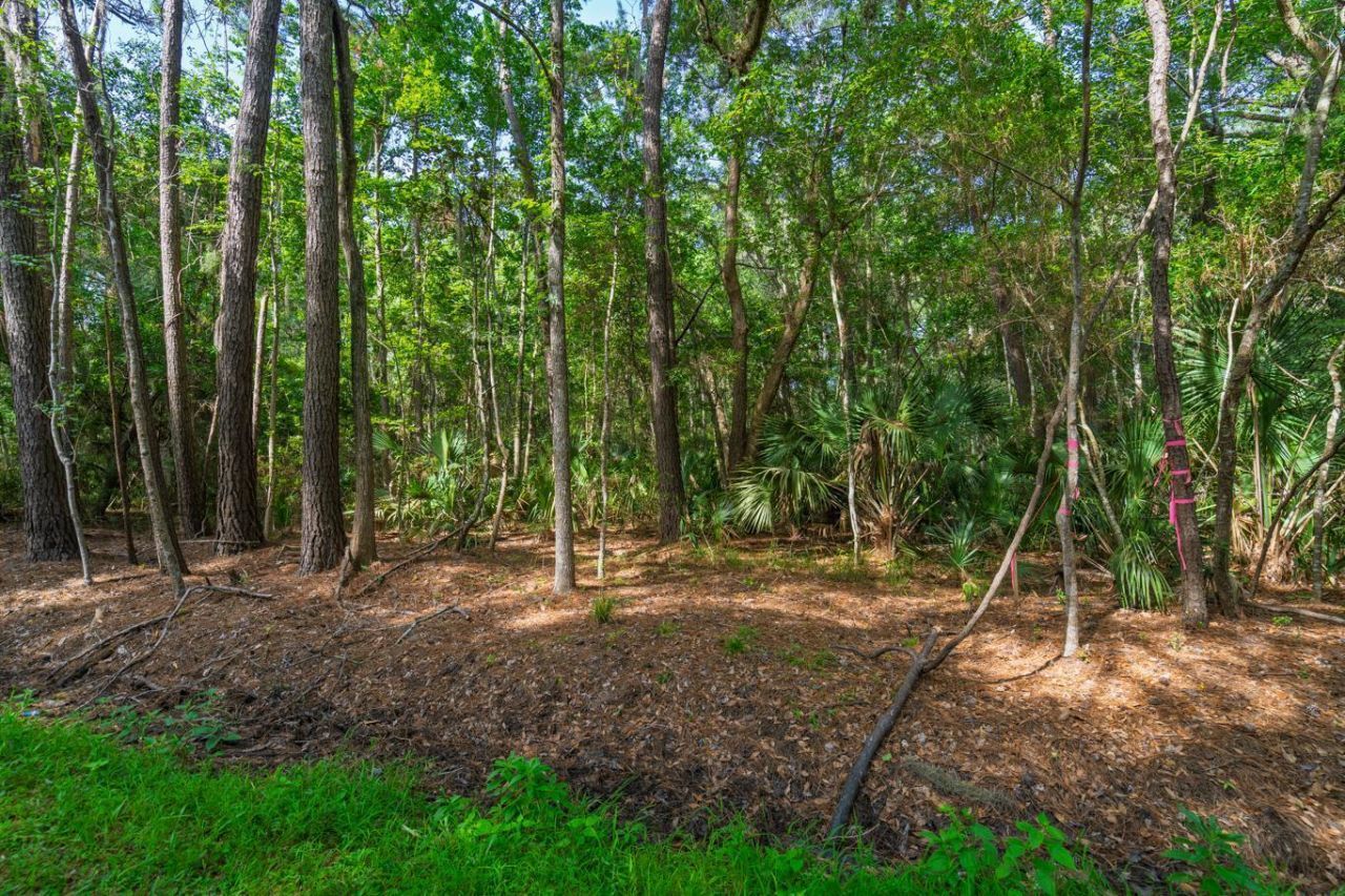 8326 Shell House Road Photo 25