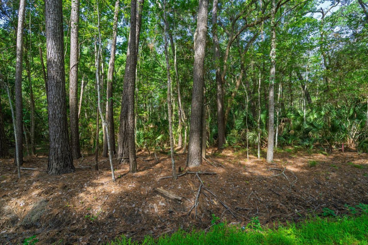 8326 Shell House Road Photo 26