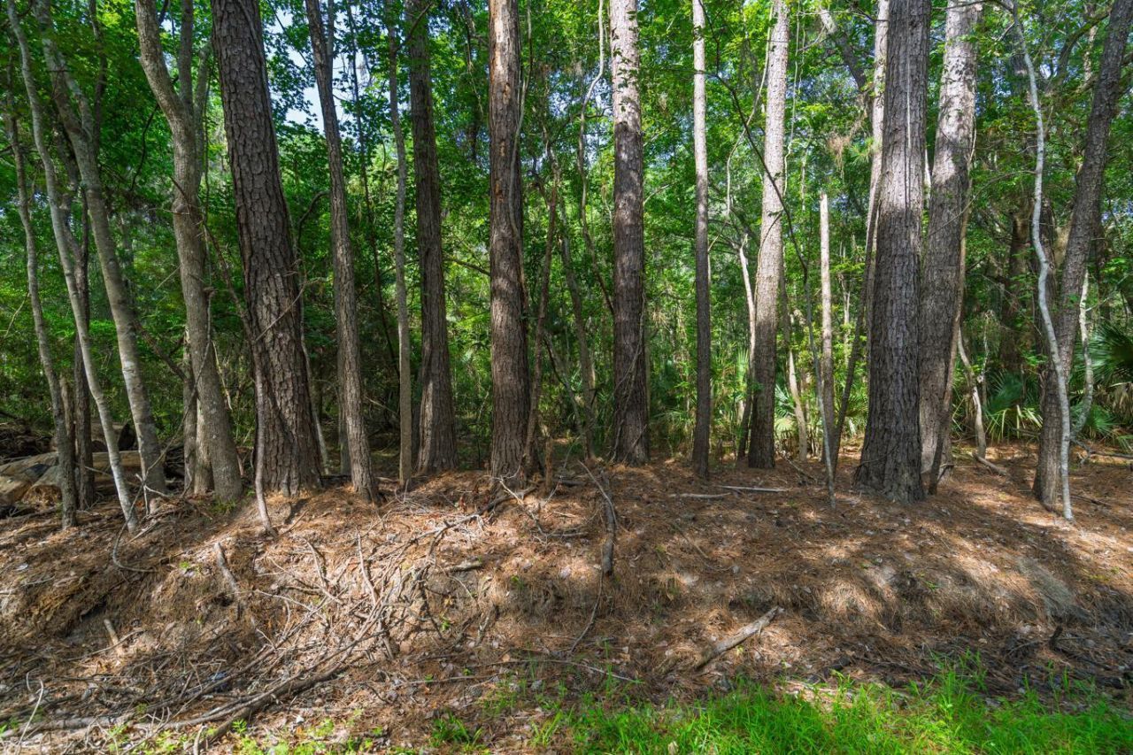 8326 Shell House Road Photo 27