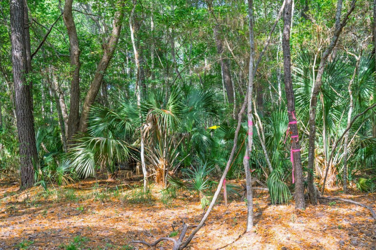 8326 Shell House Road Photo 28