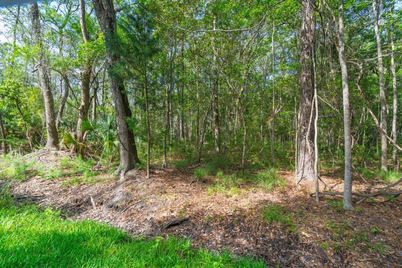 8326 Shell House Road Photo 29
