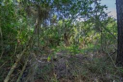 8326 Shell House Road photo 4