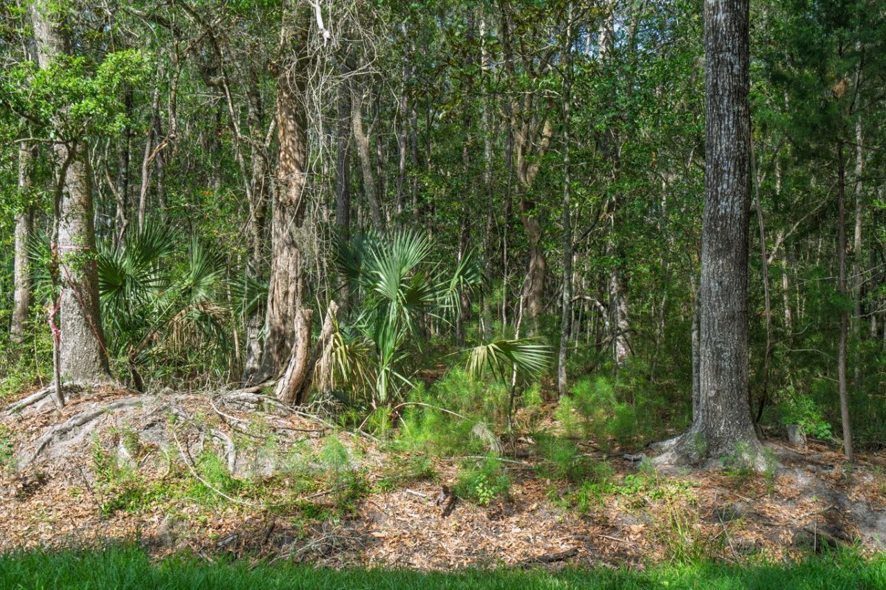 8326 Shell House Road Photo 32