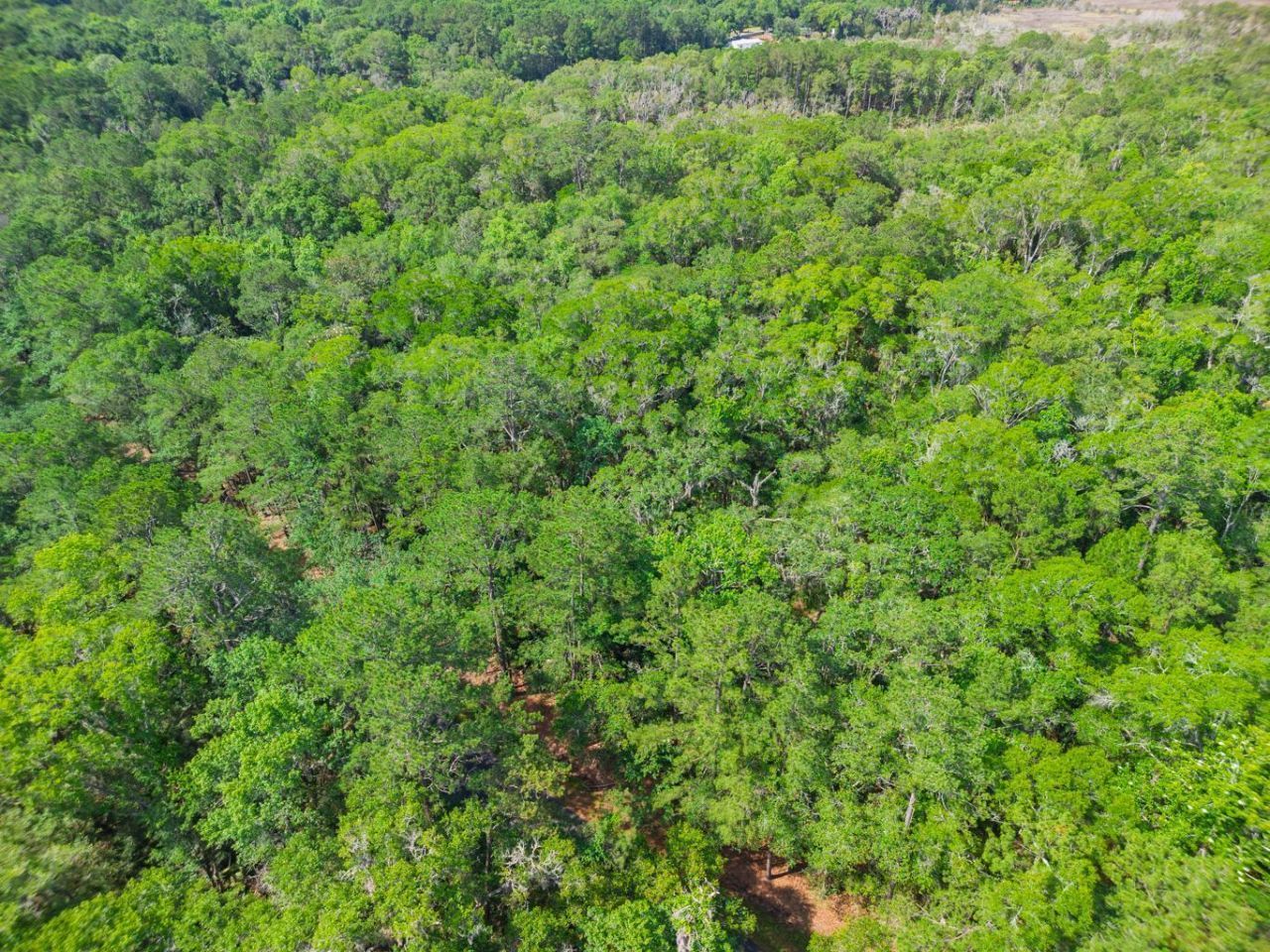 8326 Shell House Road Photo 39