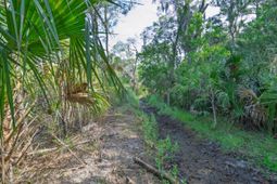 8326 Shell House Road photo 4