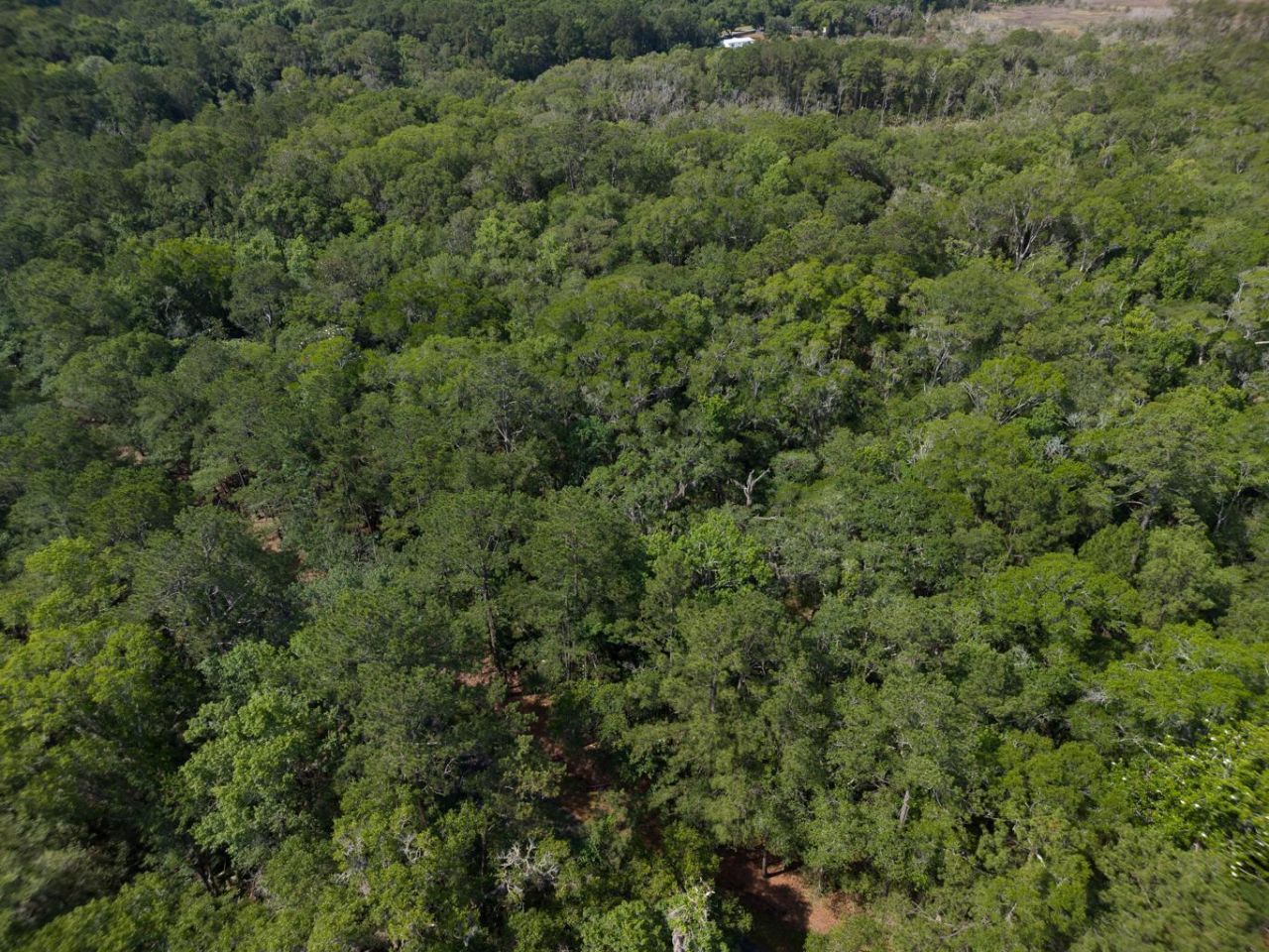 8326 Shell House Road Photo 40