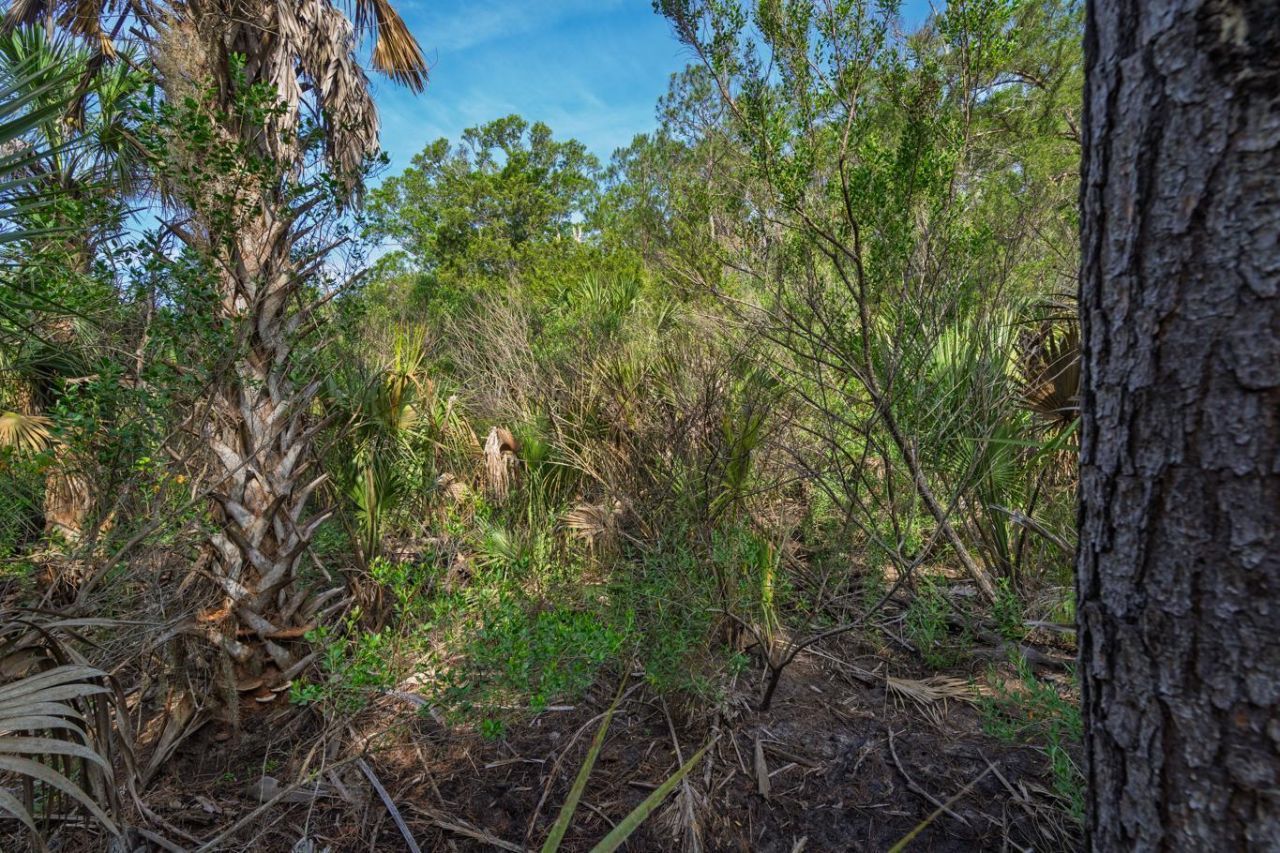8326 Shell House Road Photo 7