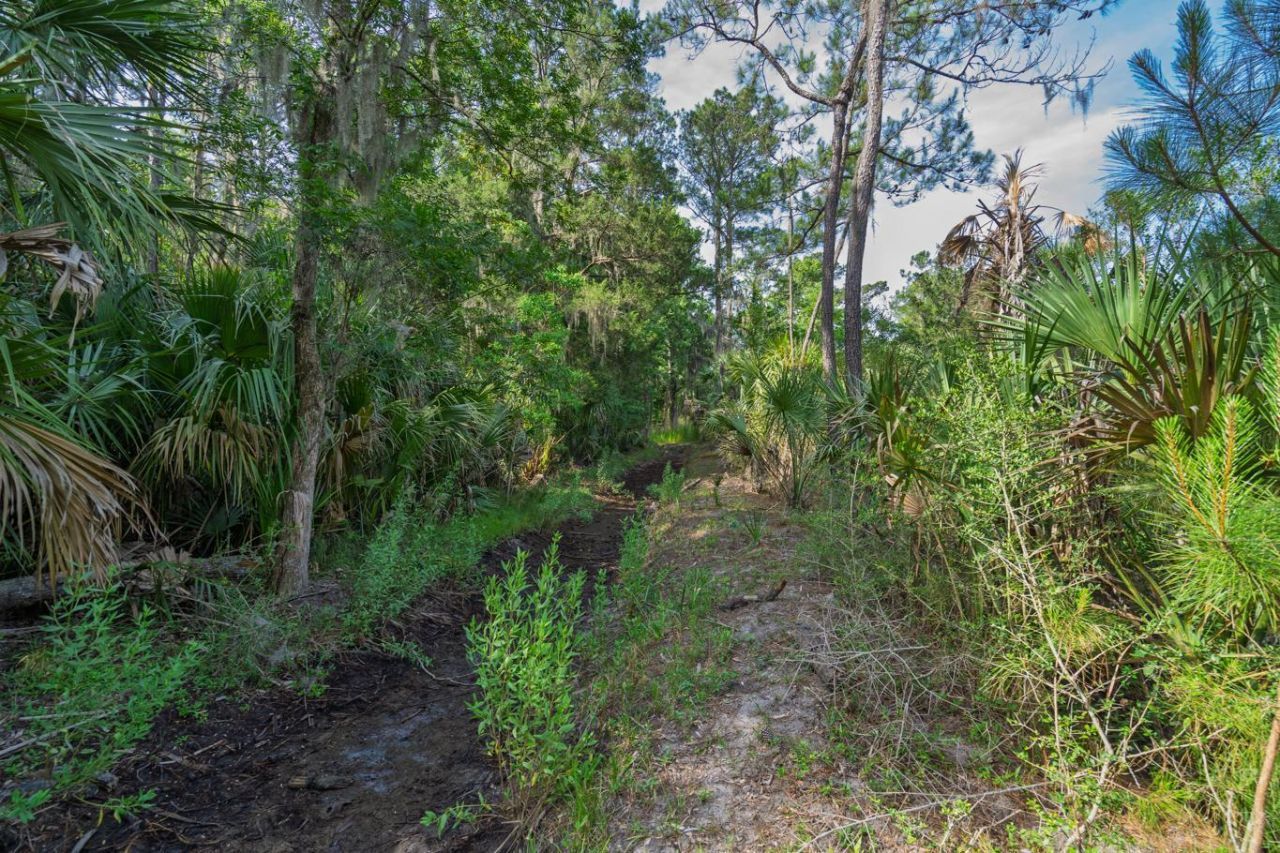 8326 Shell House Road Photo 8