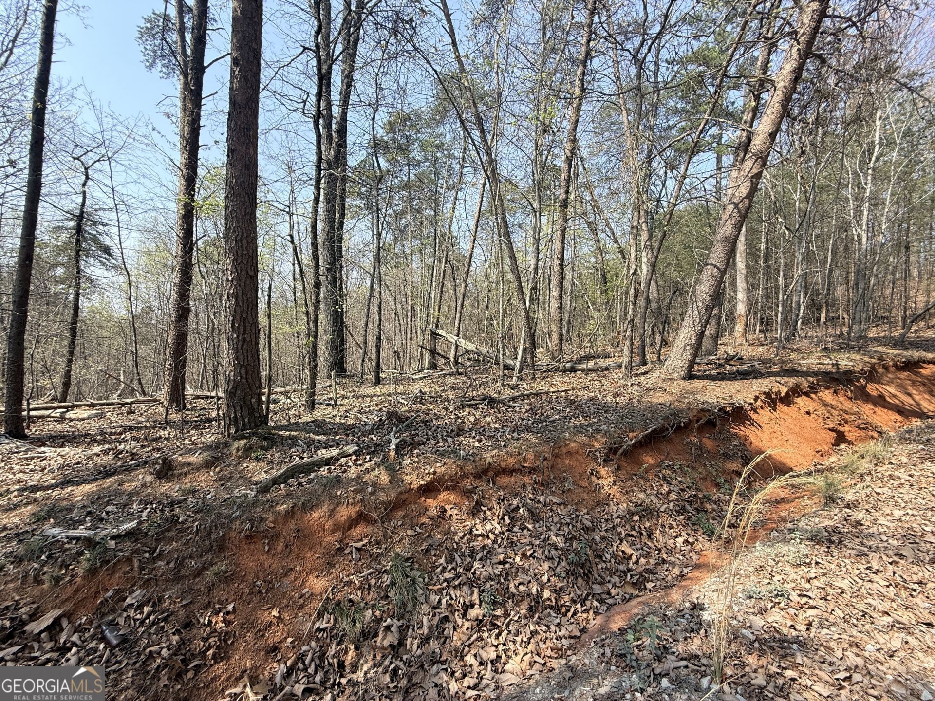 Tract A Baldwin Heights Road, Baldwin, GA 30511 Main Photo