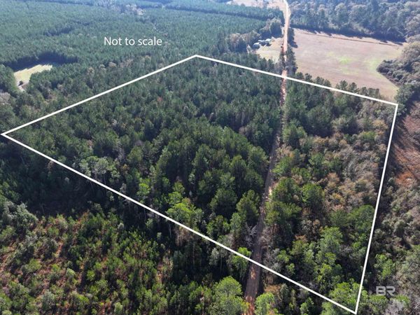 0 Judge Level Road, Brewton, AL 36426