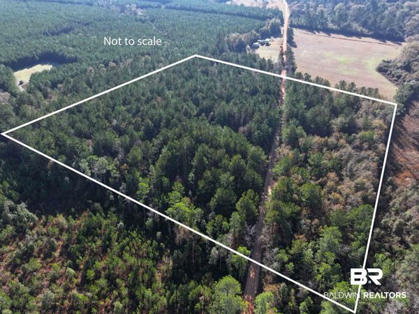 0 Judge Level Road, Brewton, AL 36426