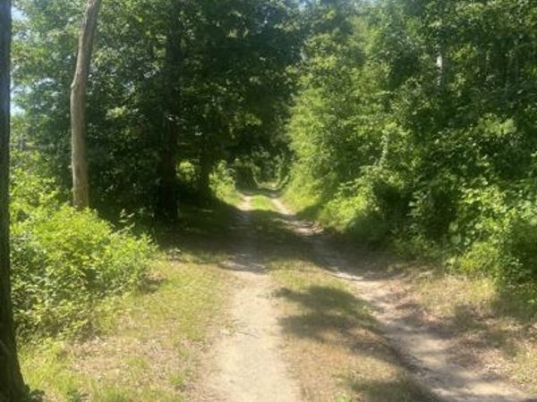 11 Freeman Lane, Bourne, MA 02561