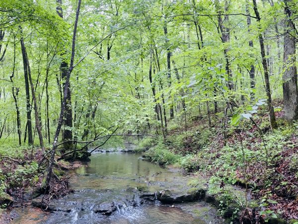 236 Center Ridge Drive , Hohenwald, TN 38462