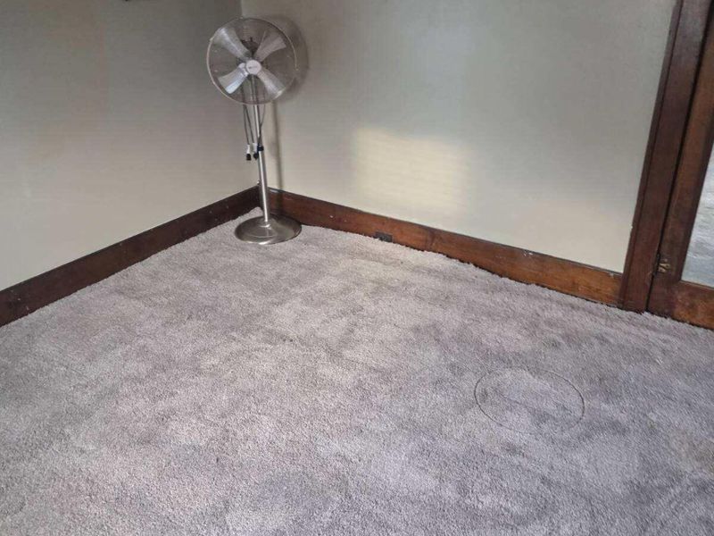 143 Irvington Avenue, Bradford, OH 45308 Photo 33