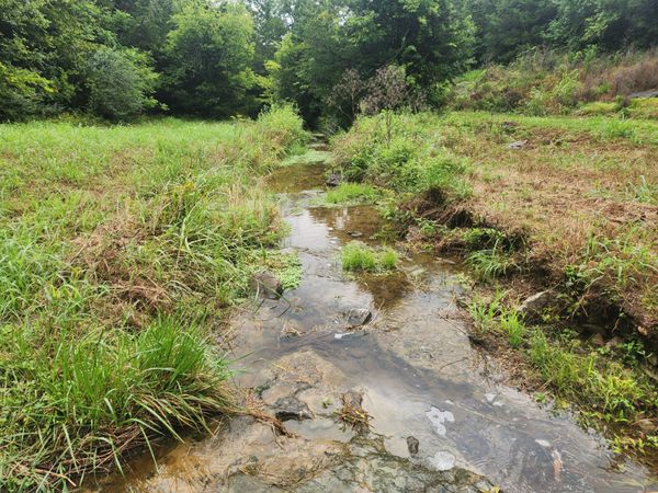 0 Tolbert Hollow Rd, Bradyville, TN 37026