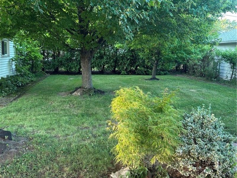 10982 Naomi Drive, Parma, OH 44130 Photo 6
