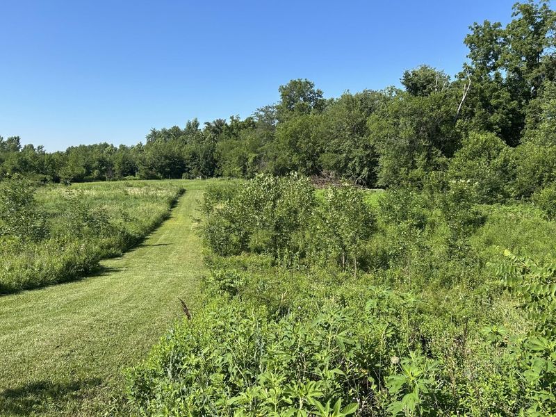 10239 Krugh Road, Mendon, OH 45862 Photo 36