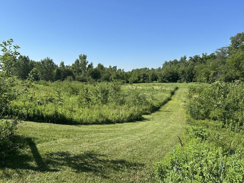 10239 Krugh Road, Mendon, OH 45862 Photo 38