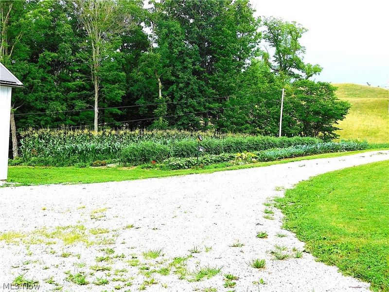 36800 Mann Ridge Road, Jerusalem, OH 43747 Photo 36