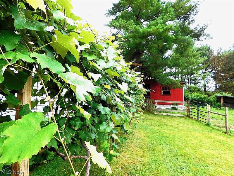 36800 Mann Ridge Road, Jerusalem, OH 43747 Photo 45