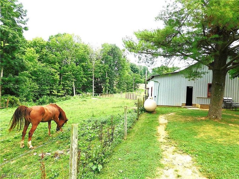 36800 Mann Ridge Road, Jerusalem, OH 43747 Photo 48