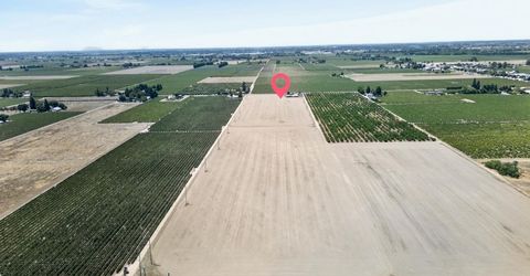 16696 N Locust Tree Rd, Lodi, CA 95240 Photo