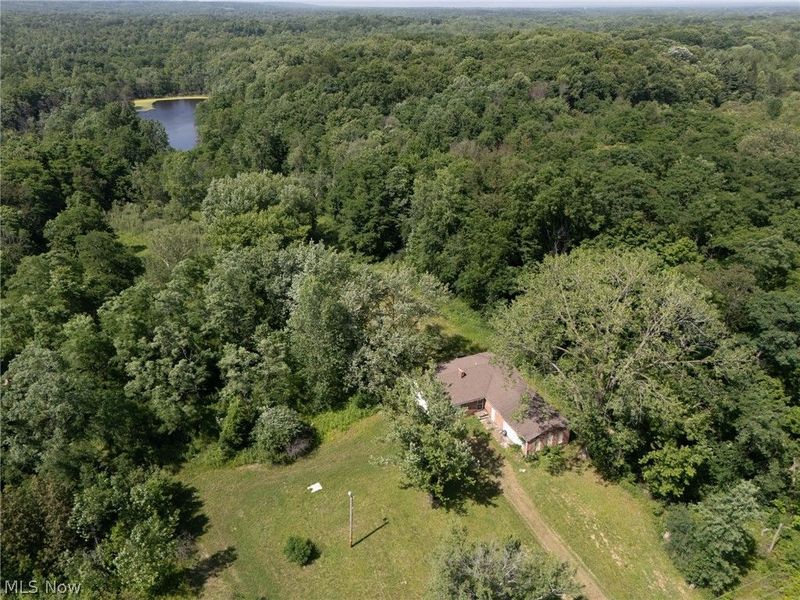 17222 Reynolds Road, West Farmington, OH 44491 Photo 27