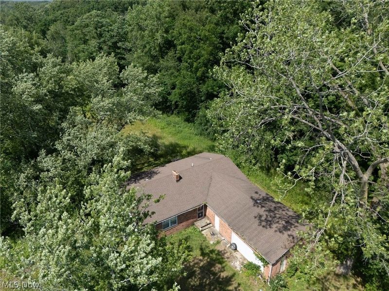 17222 Reynolds Road, West Farmington, OH 44491 Photo 6