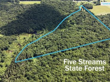 *Rabbit Path (POLP: 409 Cty Rd 5), Mc Donough, NY 13801
