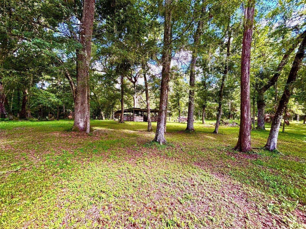 9499 Treiman Boulevard , Webster, FL 33597 Photo