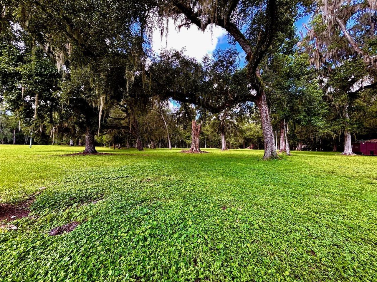9499 Treiman Boulevard , Webster, FL 33597 Photo