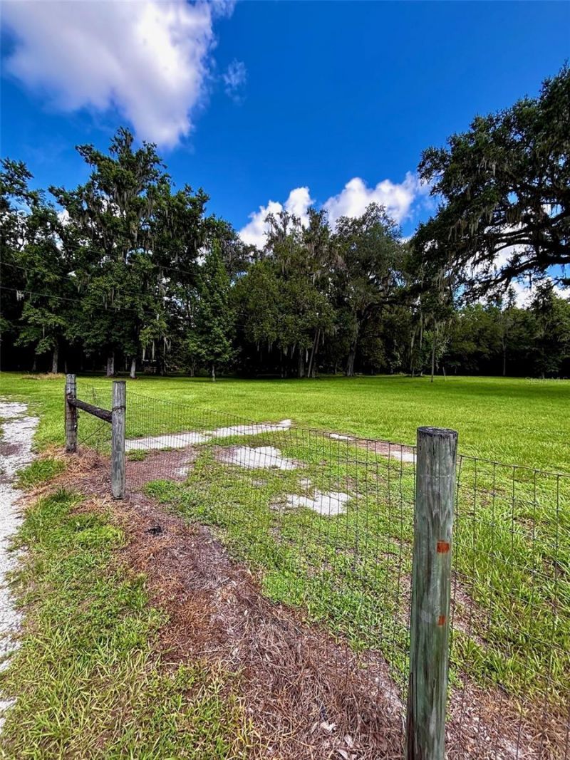9499 Treiman Boulevard , Webster, FL 33597 Photo