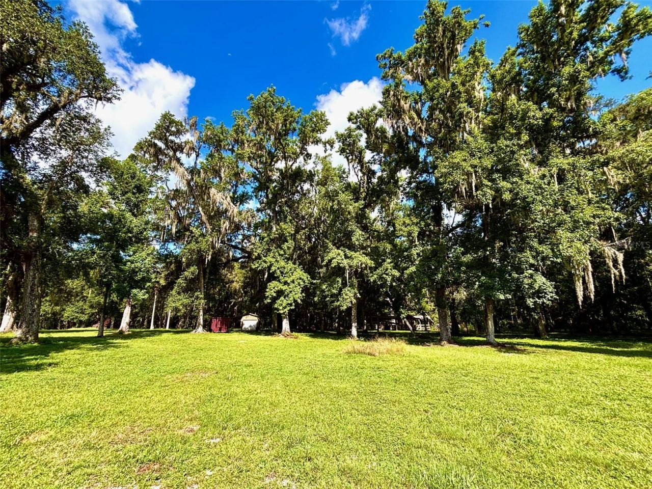9499 Treiman Boulevard , Webster, FL 33597 Photo