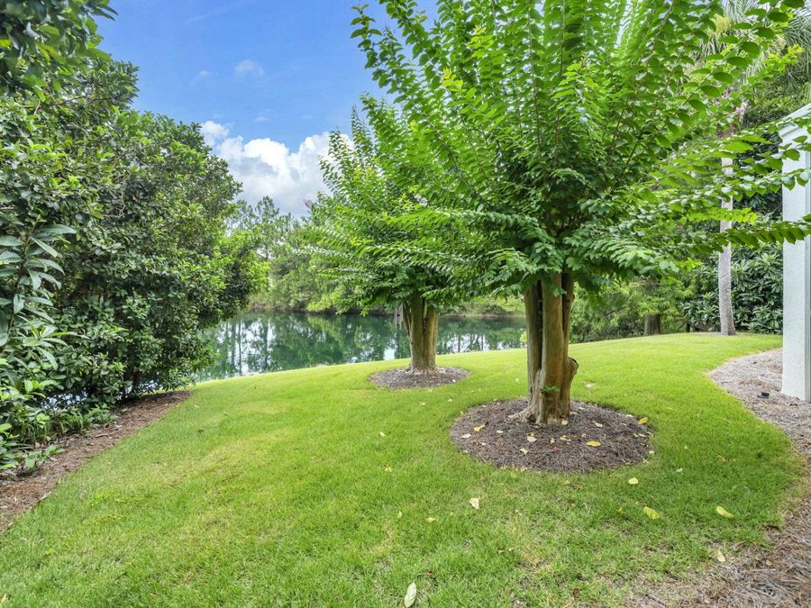 Property Image 61
