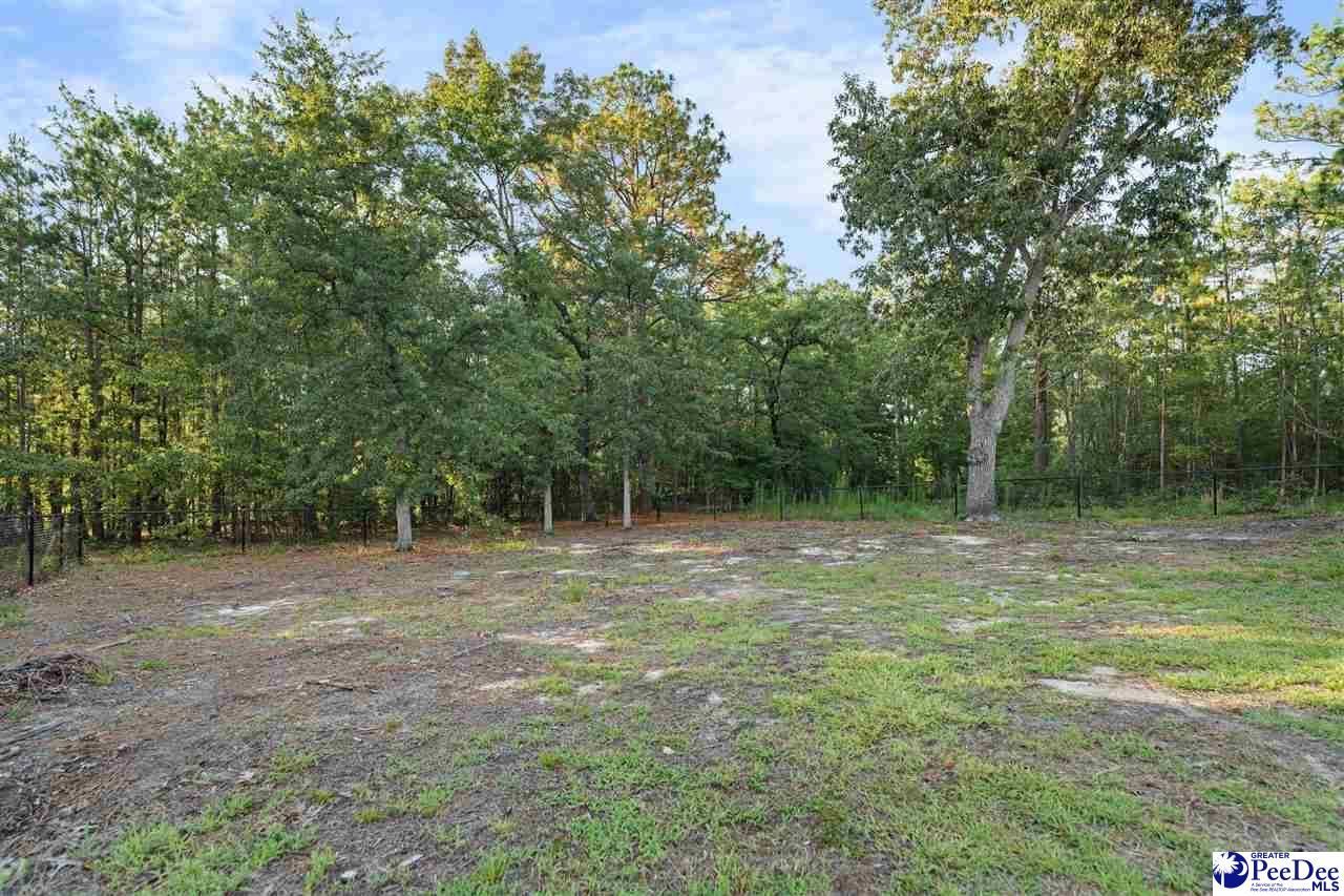 462 Sandy Point Ln Photo 43