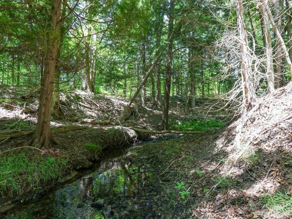 960 and 980 W Orianna Drive, Marquette, MI 49855