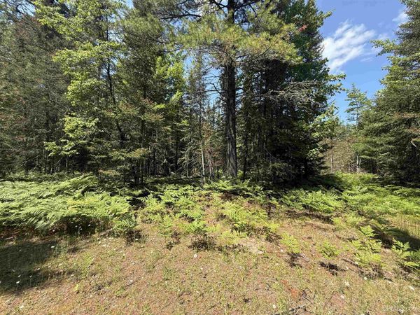 TBD Tall Timber Trail, Torch Lake Twp, MI 49945